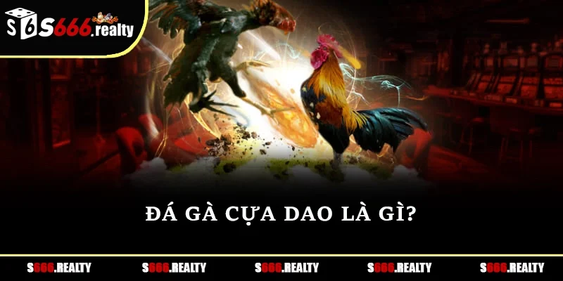 Đá gà cựa dao là gì?