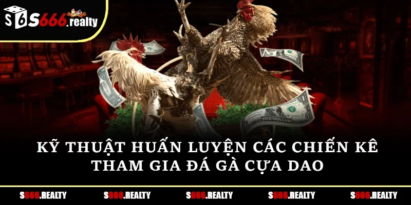 Kỹ thuật huấn luyện các chiến kê tham gia đá gà cựa dao 