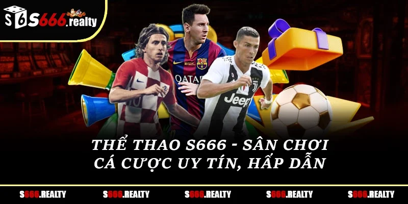 Thể thao S666 - Sân chơi cá cược uy tín, hấp dẫn 